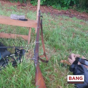 Meet your Posher, Dusty